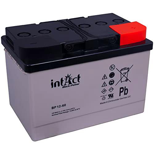 intAct Block-Power BP12-60 | 12 V 60 Ah | Batería de alimentación fiable | Batería AGM sin Mantenimiento