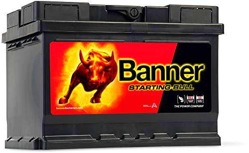 Banner 55519 Starting Bull 065 OEM calidad recargable