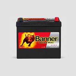 Banner P4523 Power Bull 044 Power Bull Calcio derrames &amp; Backfire protegido recargable