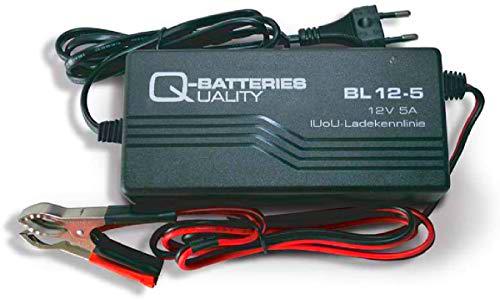 Cargador Qbatteries BL12-5 Bl Charger. 12V