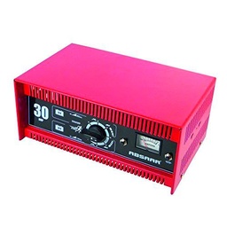 in.pro Cargador 30AMP 12/24V N/E Amp